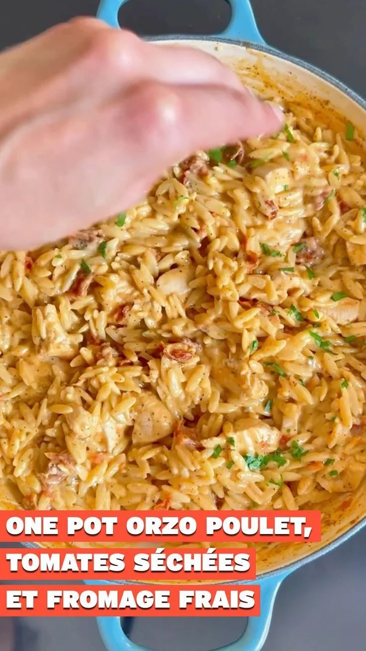 Orzo poulet avec tomates séchées et fromage frais dans un pot