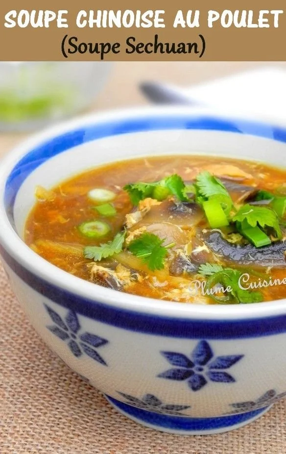 Bol de soupe chinoise au poulet et épices Szechuan