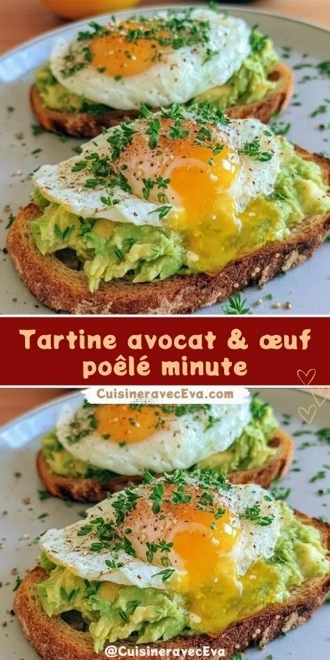 Plate of Tartine Avocat with egg, garnished and presented for a fresh meal.